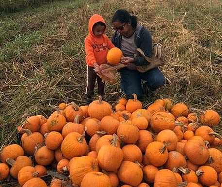 Woman and Boy Choosing a Pumpkin in Dayton, OH.